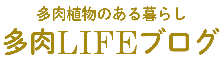 多肉LIFEブログ