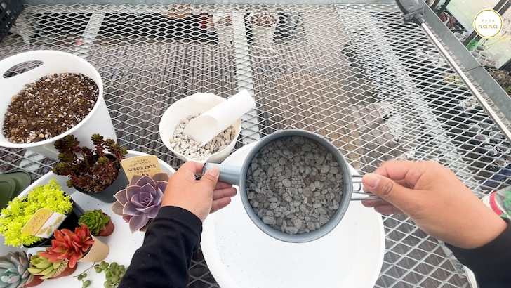 多肉植物の寄せ植えの作り方