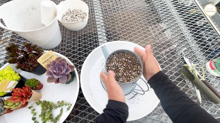 多肉植物の寄せ植えの作り方