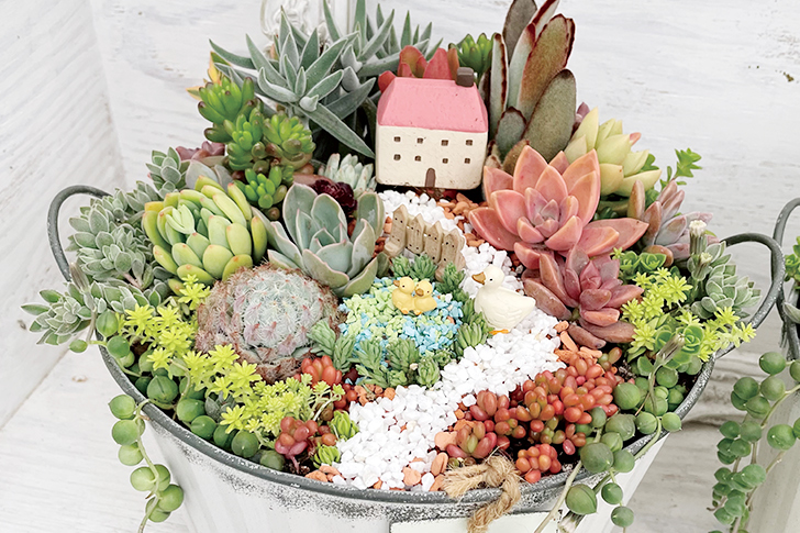 「箱庭風」寄せ植え