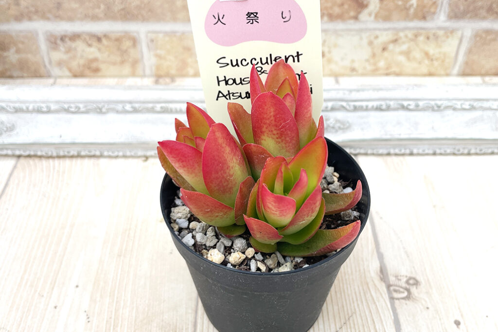 火祭り